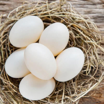 Oeuf beldi bio frais de la ferme