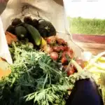 Panier bio "Découverte" 8kg