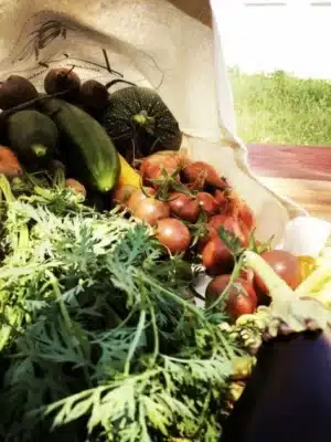 panier bio marrakech