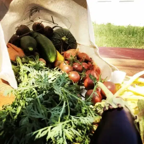 panier-bio panier bio marrakech